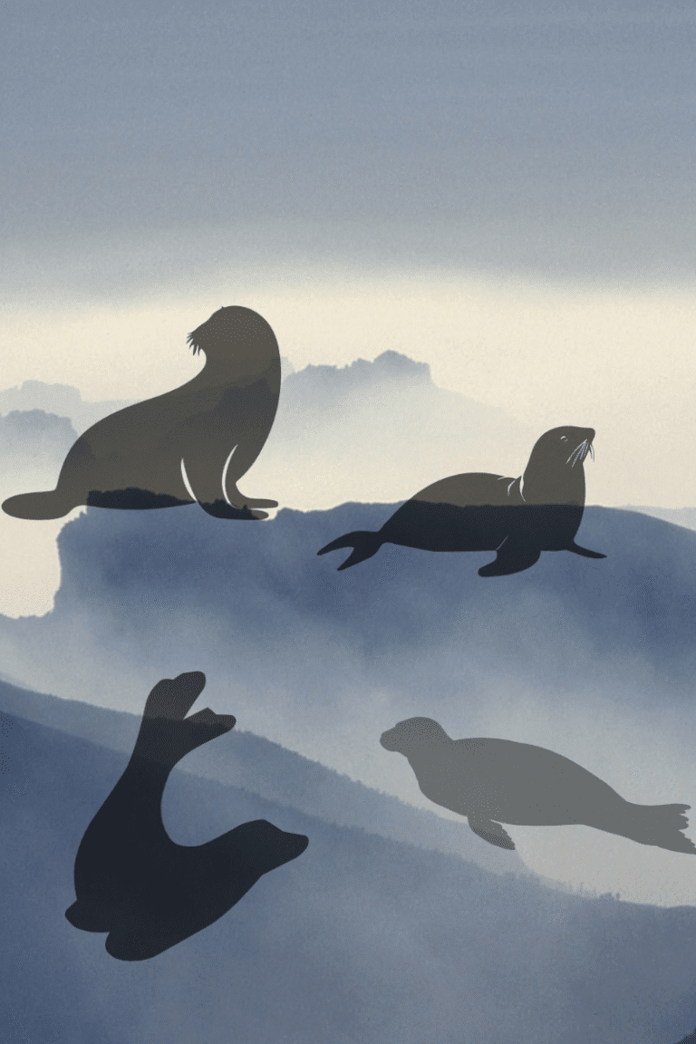Seal silhouettes against a snowy background
